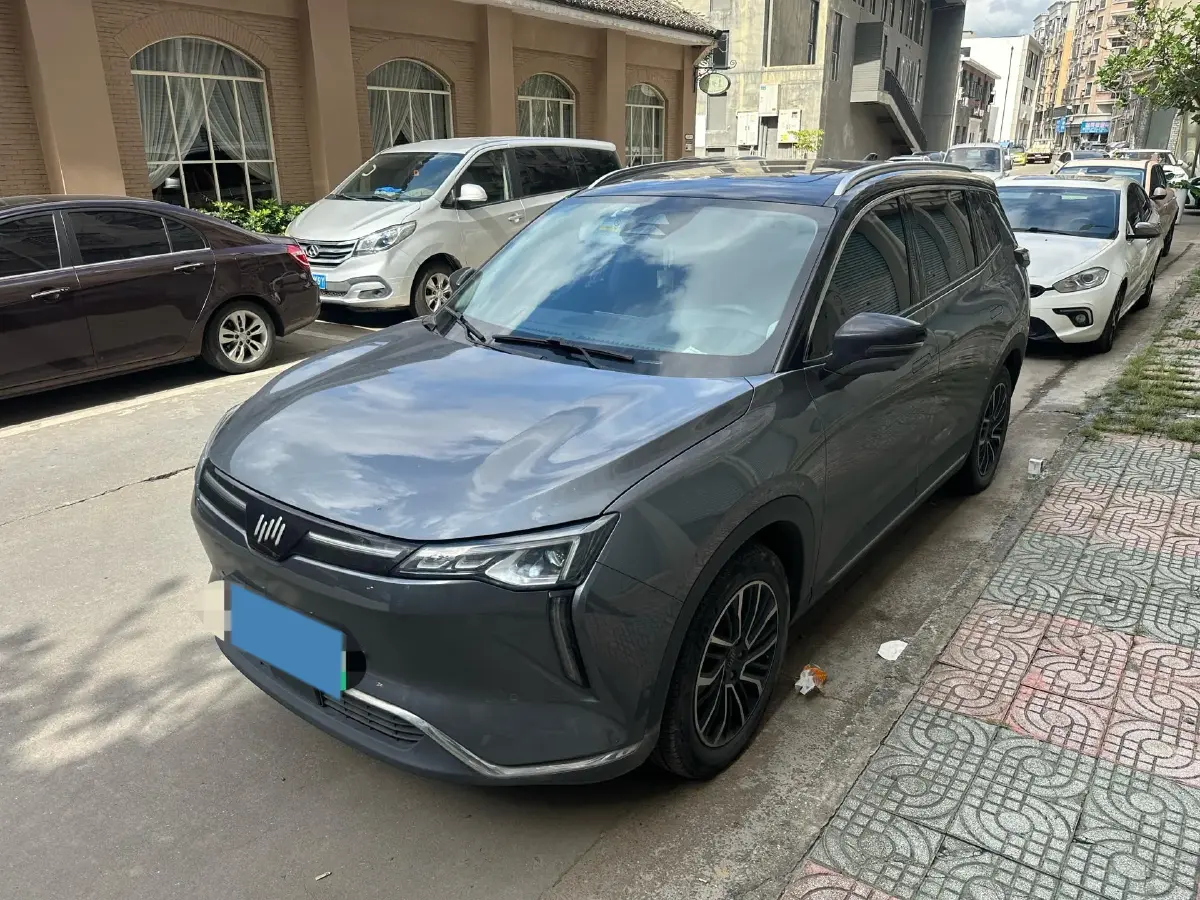 2021 Weltmeister W6 BEV 66.231KWH