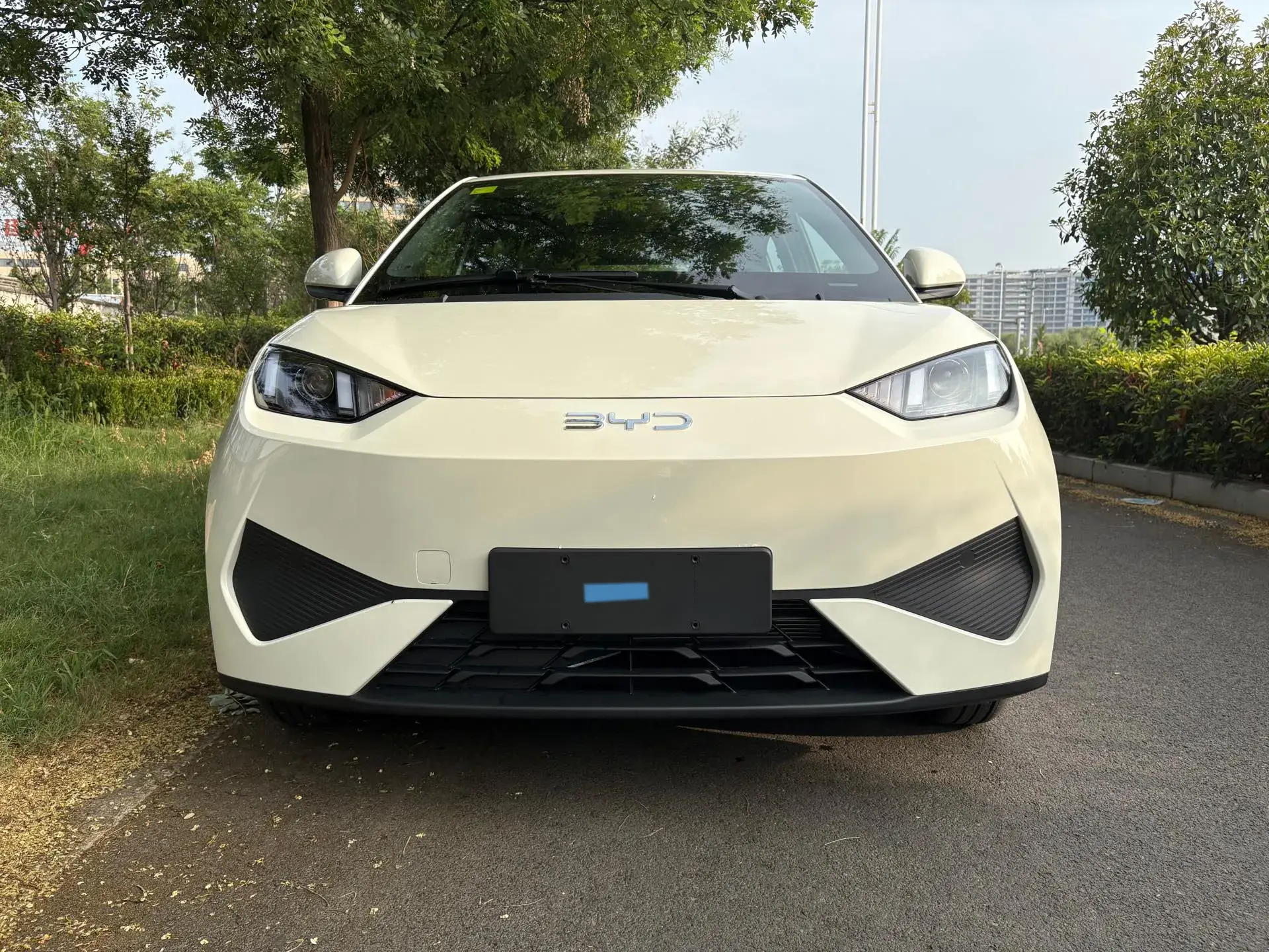 2025 BYD SEAGULL thumbnail 2