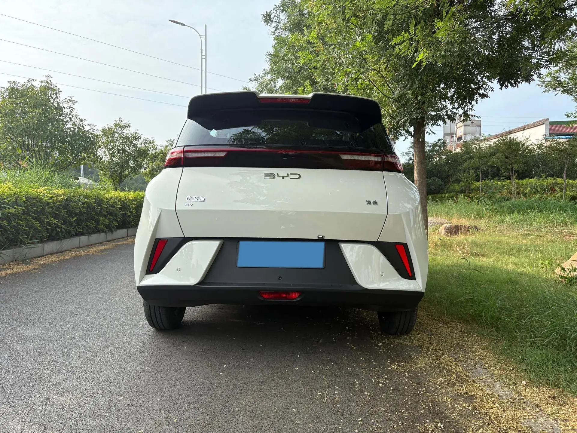 2025 BYD SEAGULL thumbnail 4