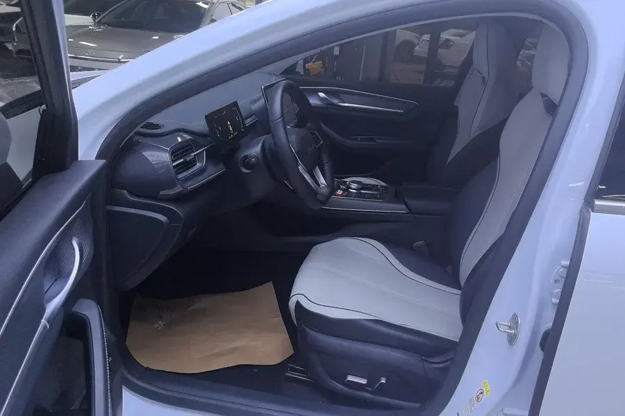 2023 BYD DESTROYER thumbnail 2