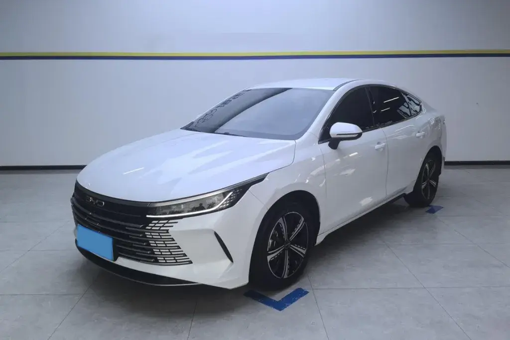 2023 BYD DESTROYER view 1