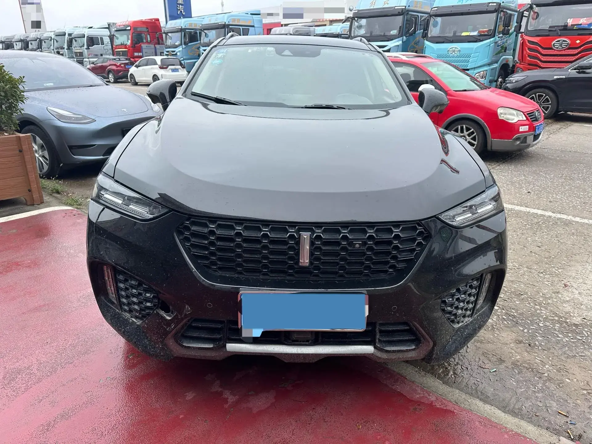 2019 WEY VV7 thumbnail 2