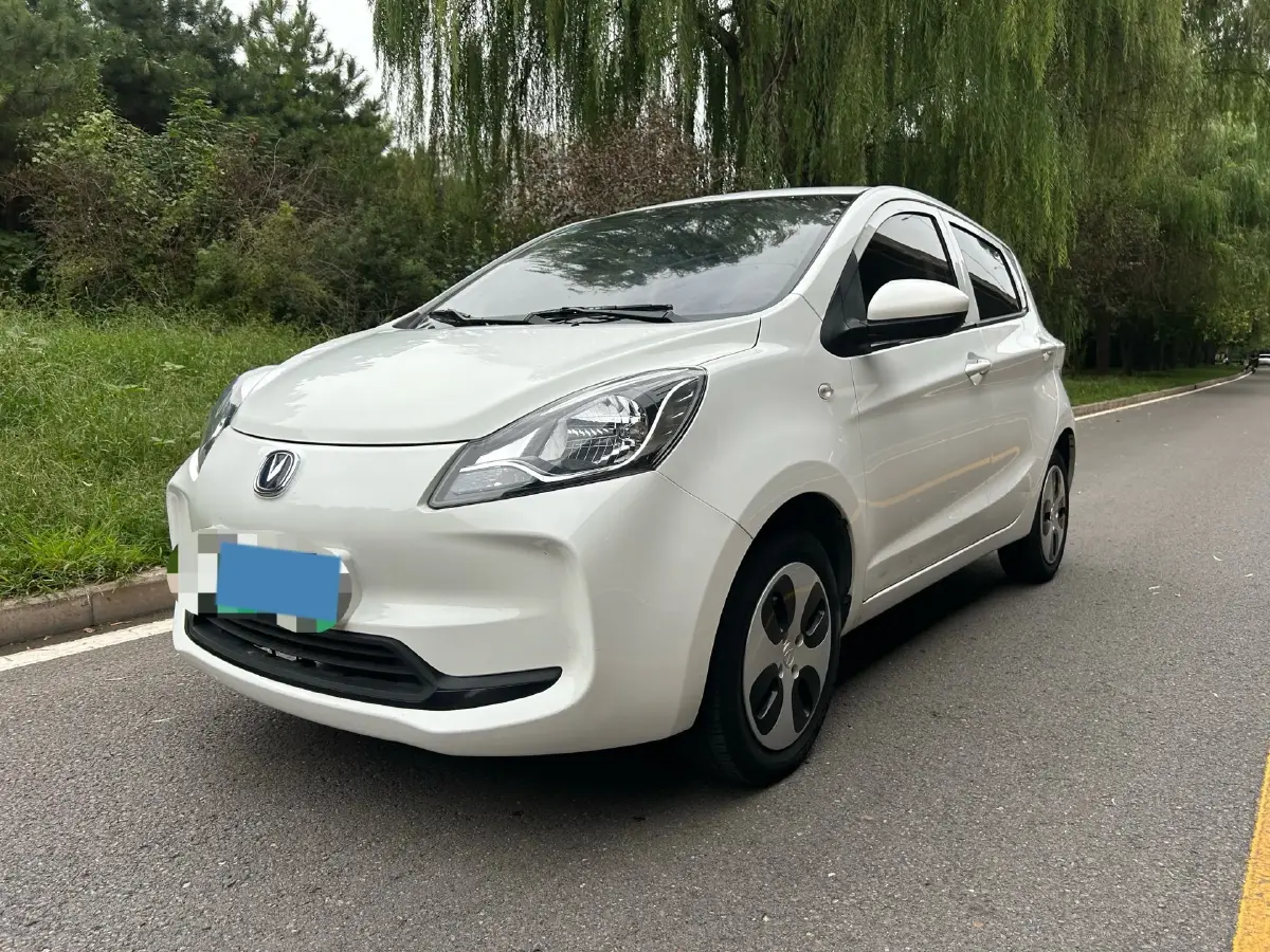 2021 ChangAn BenBen E-Star BEV 31.95KWH