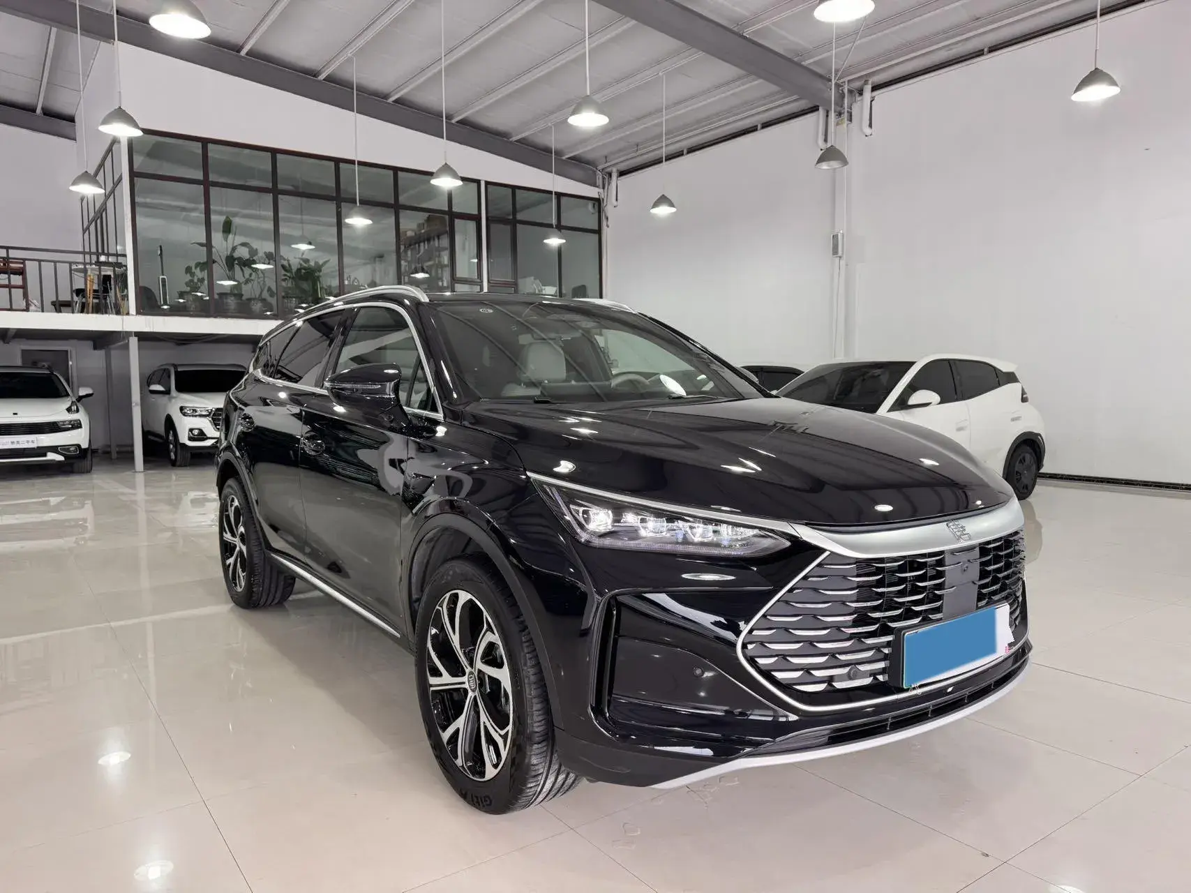 2025 BYD TANG thumbnail 2