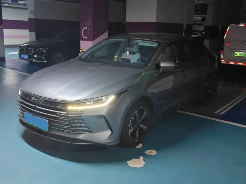 2022 BYD DESTROYER view 1