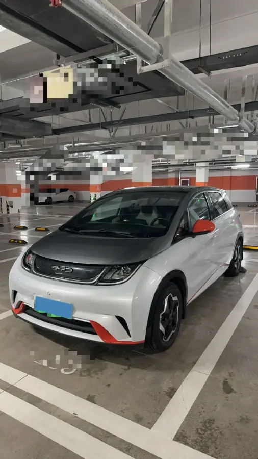 2021 BYD Dolphin BEV 44.9KWH
