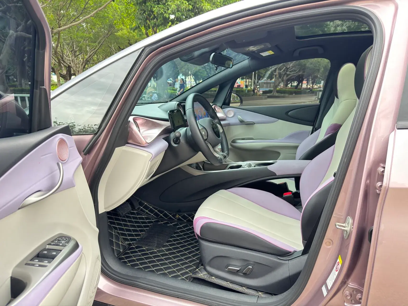 2021 BYD DOLPHIN thumbnail 4