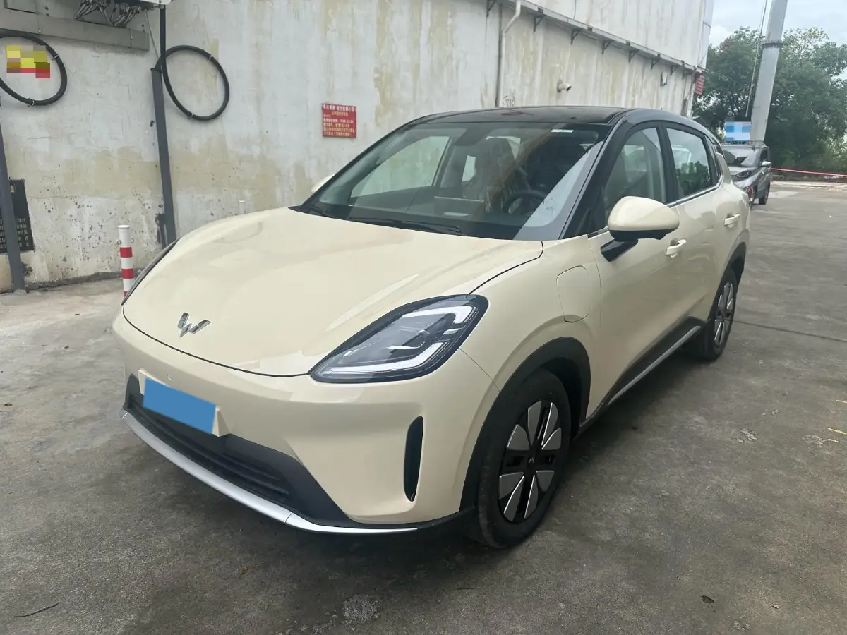 2025 WuLing BinGuo S BEV