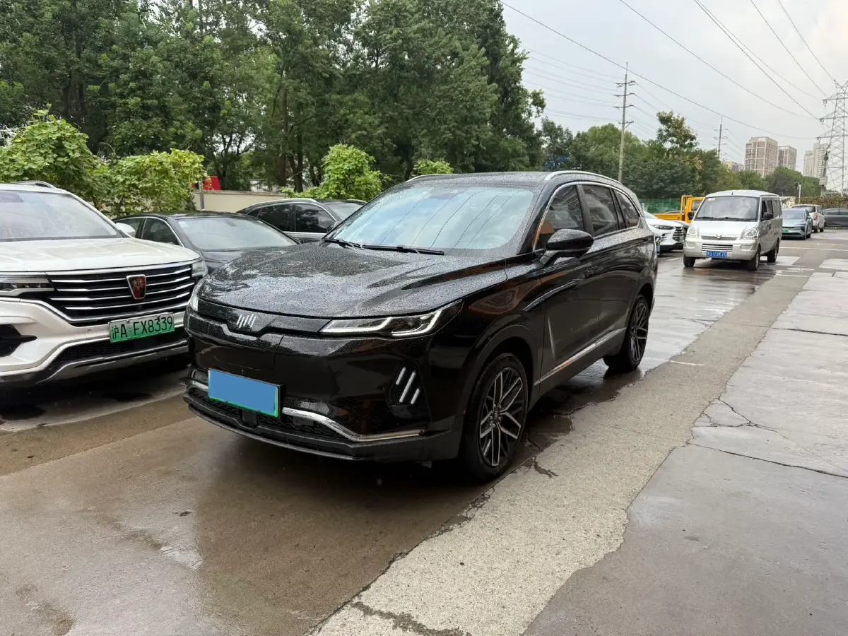 2020 Weltmeister EX6 BEV 69KWH