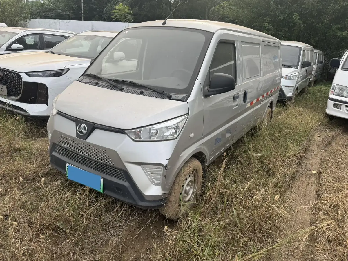 2020 BAW Little Hippo BEV 43.2KWH