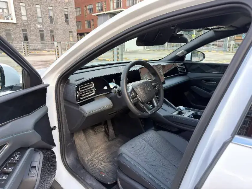 2025 BYD QINL thumbnail 4