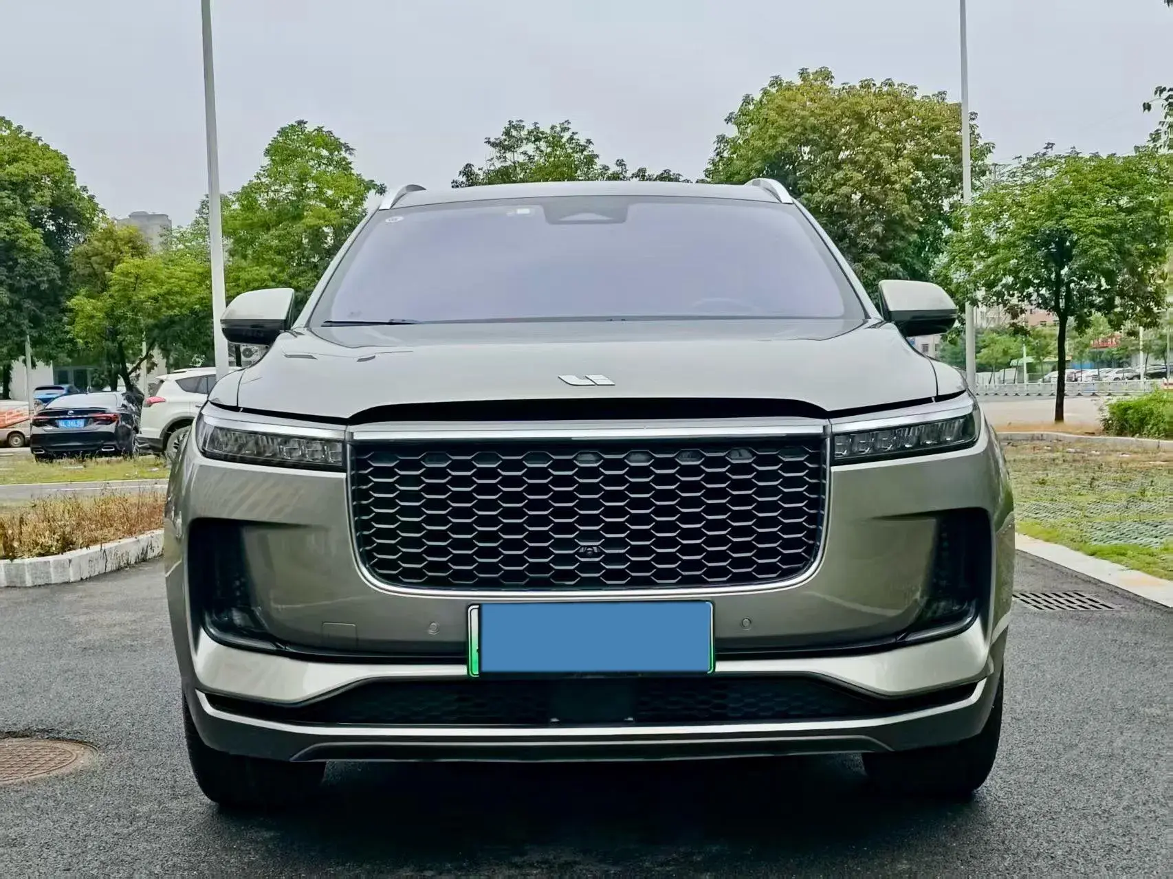 2021 LI ONE thumbnail 2