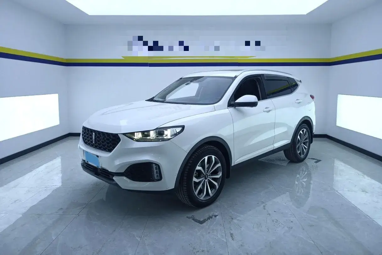 2019 WEY VV6 view 1