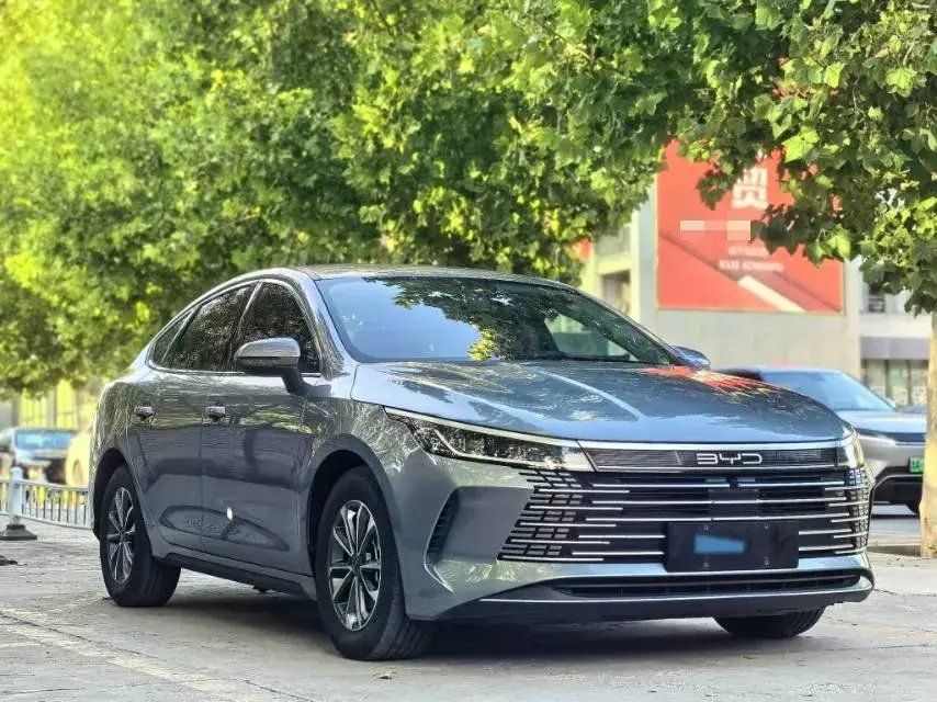 2024 BYD DESTROYER thumbnail 3