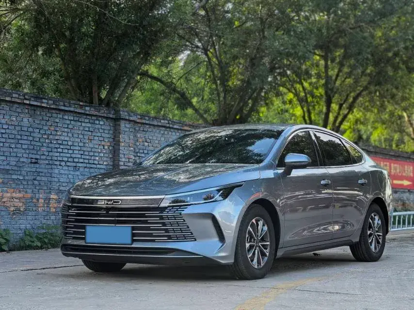 2024 BYD DESTROYER view 1