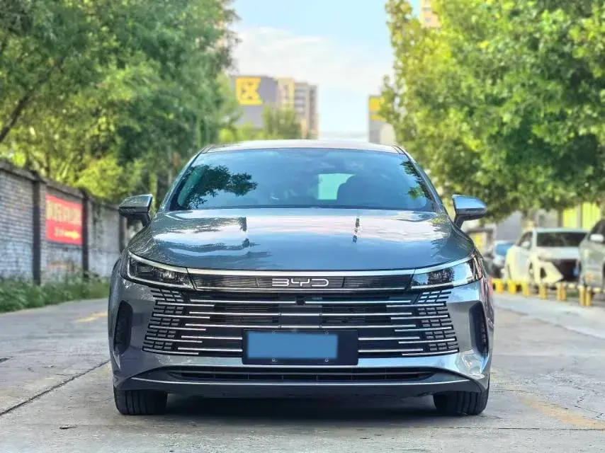 2024 BYD DESTROYER thumbnail 2