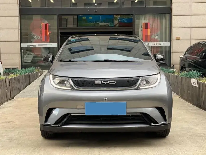 2023 BYD DOLPHIN thumbnail 2