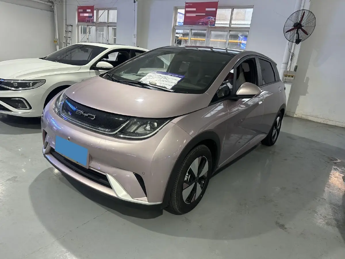 2023 BYD Dolphin BEV 44.928KWH