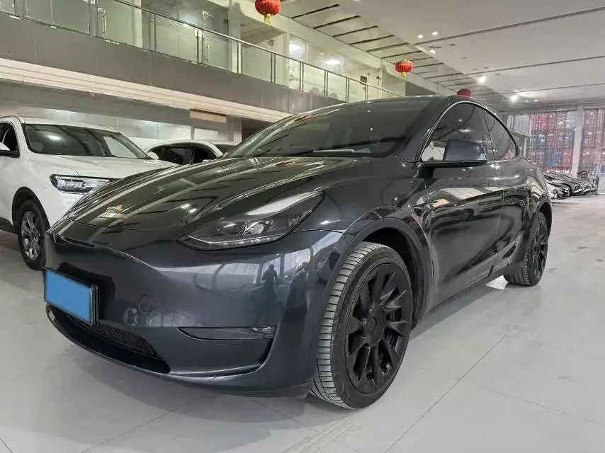 2024 TESLA MODEL view 1