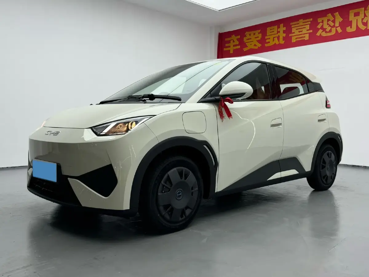 2025 BYD Seagull BEV 30.08KWH