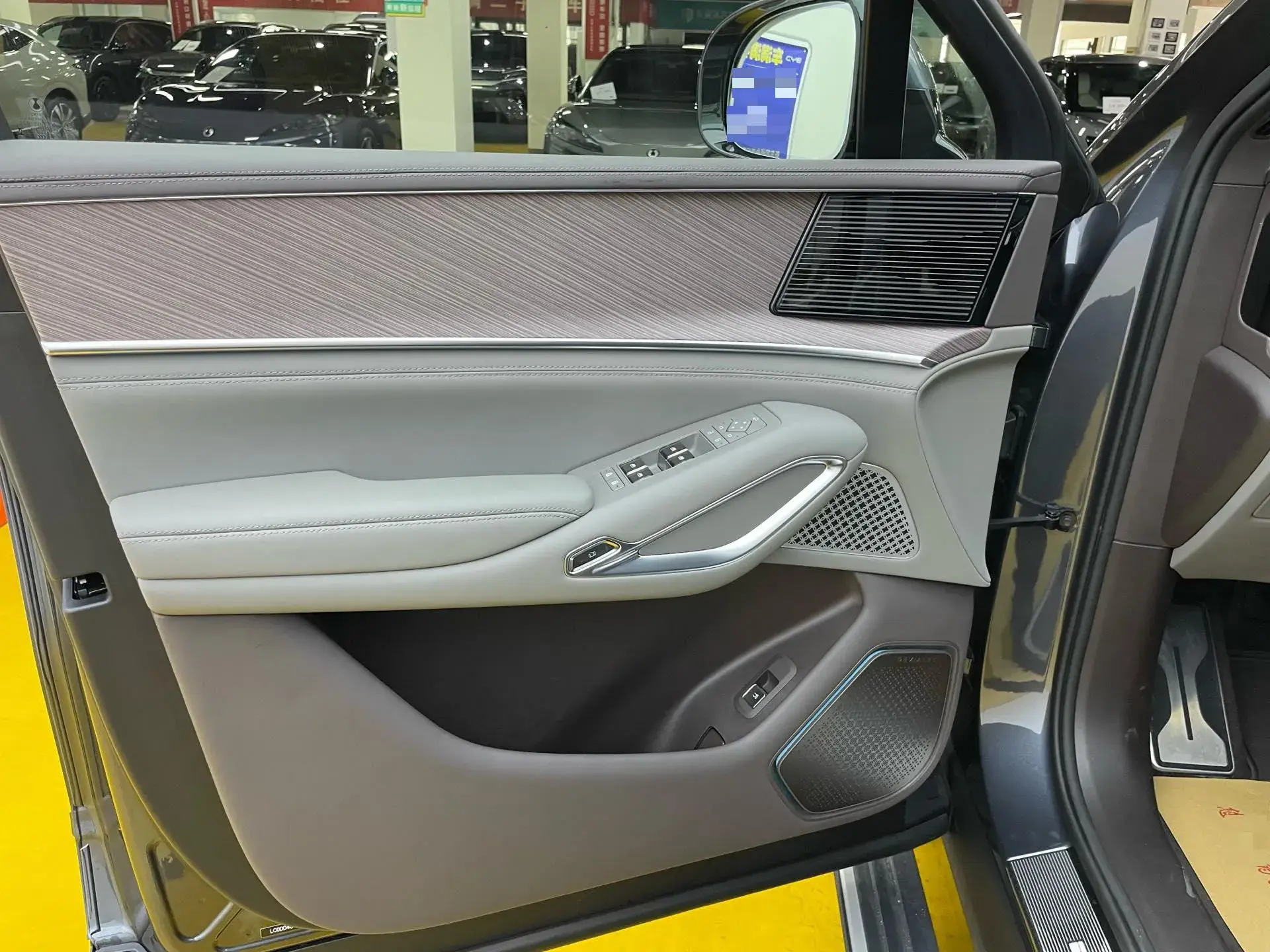 2025 DENZA DENZAN9 thumbnail 3