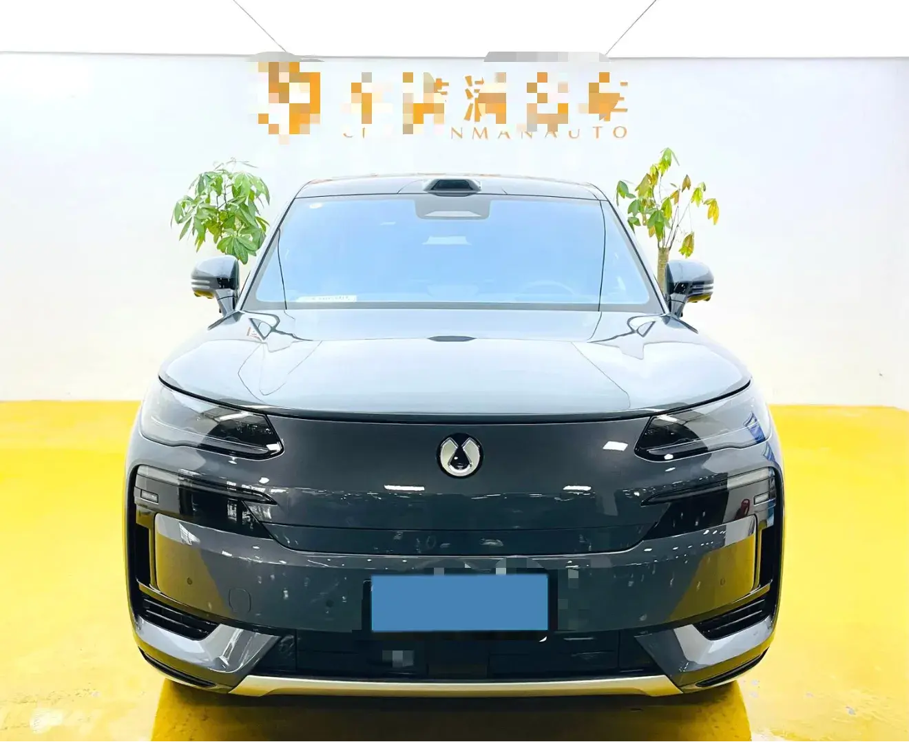 2025 DENZA DENZAN9 thumbnail 2