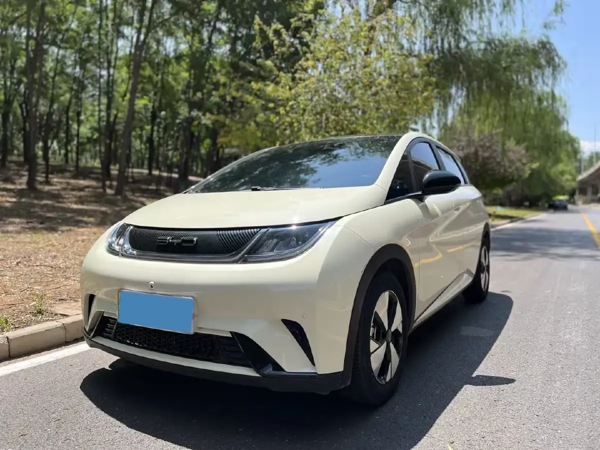 2023 BYD Dolphin BEV 44.928KWH