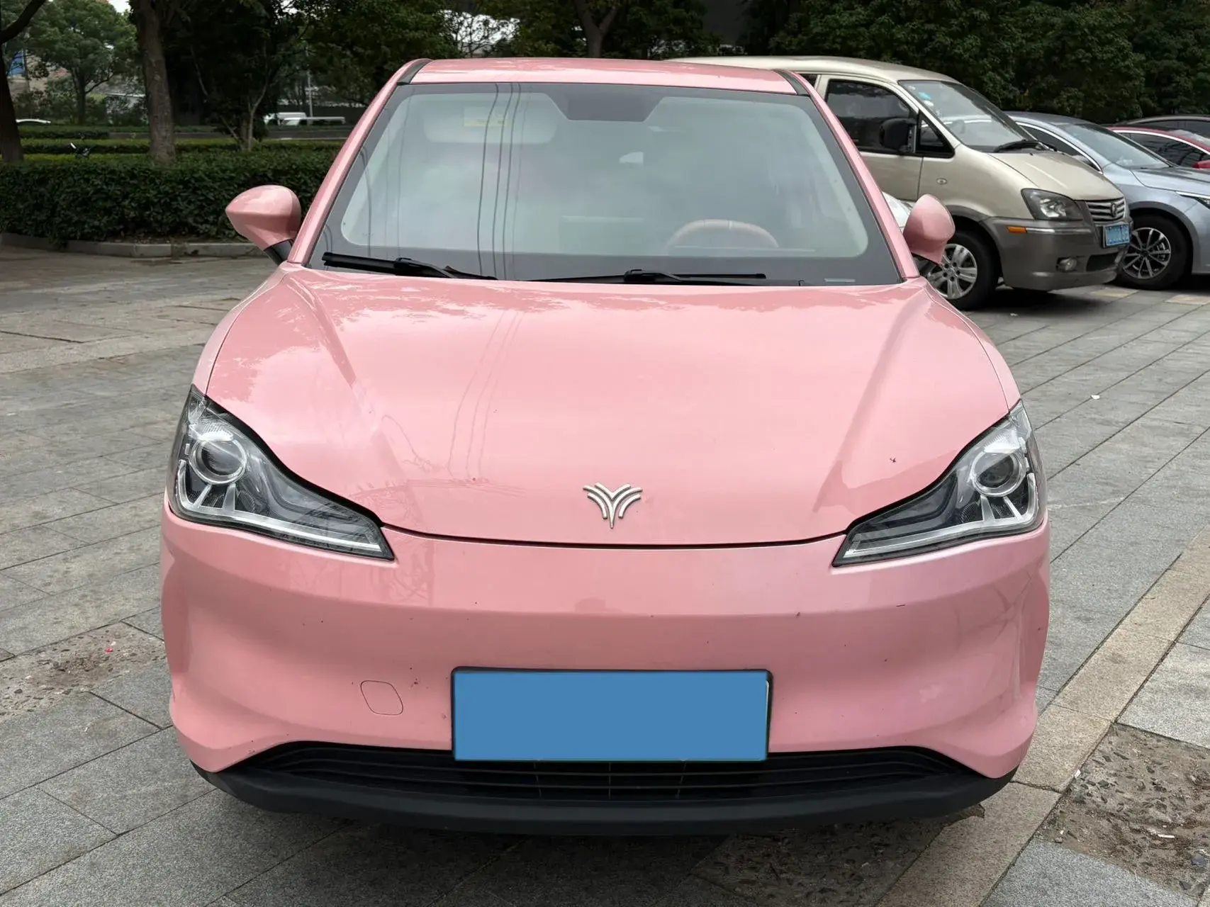 2021 NETA V thumbnail 4