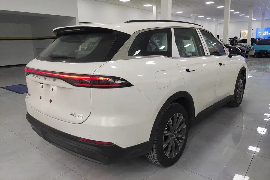 2025 FULWIN FULWINT9 thumbnail 2