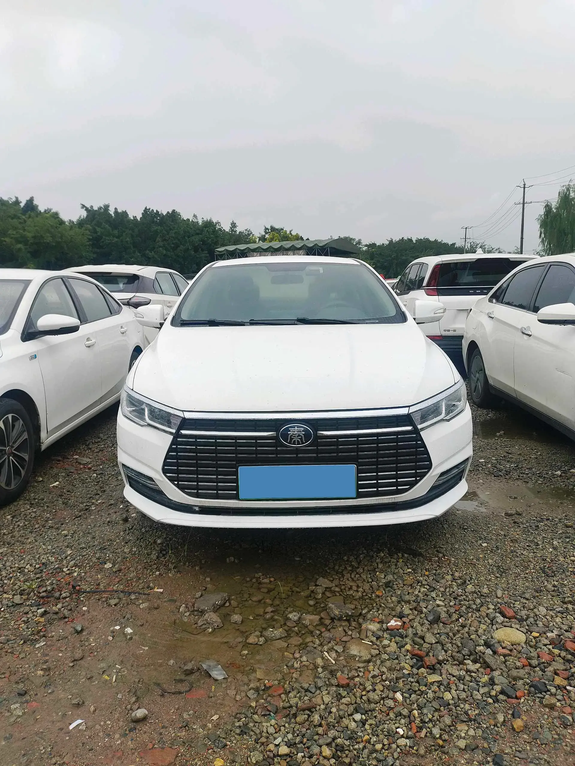 2021 BYD QIN thumbnail 2