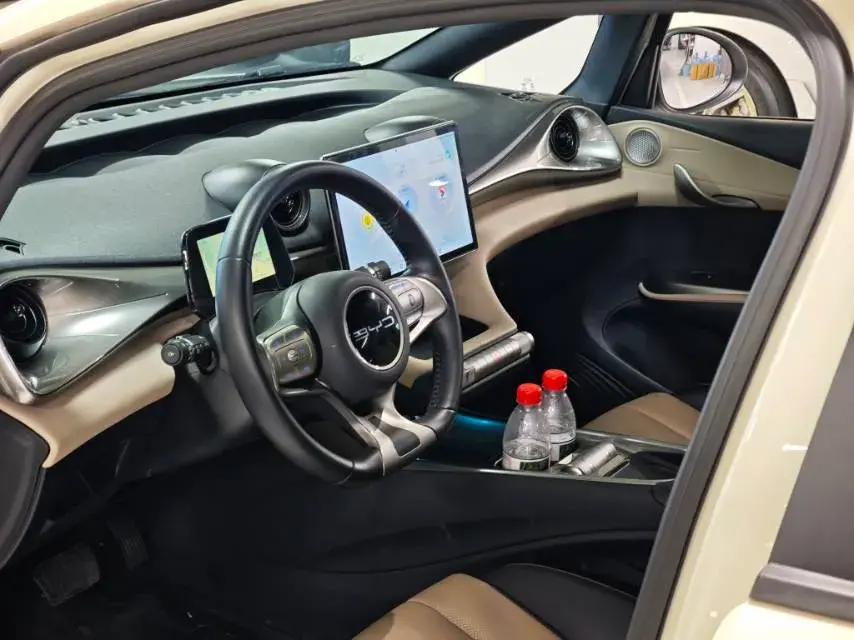 2023 BYD DOLPHIN thumbnail 2