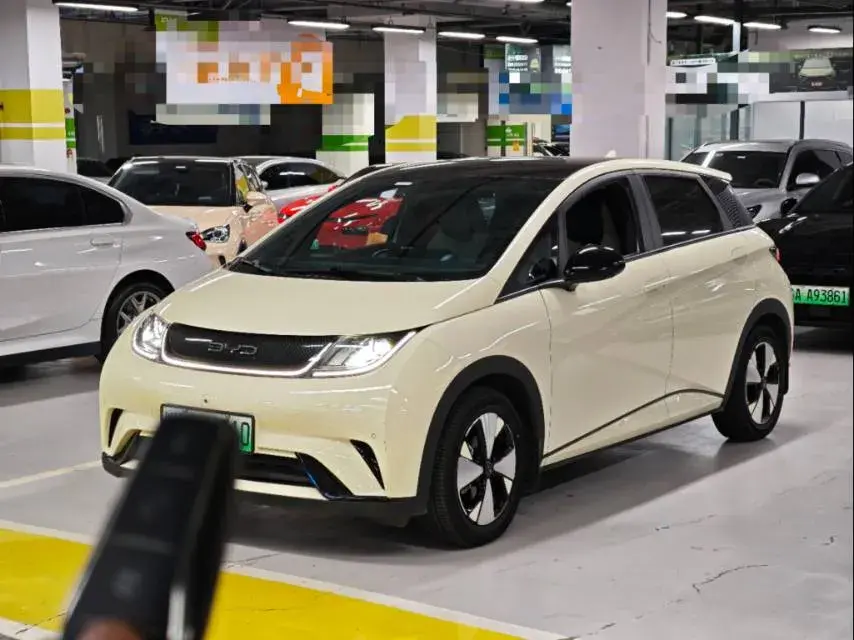 2023 BYD DOLPHIN view 1