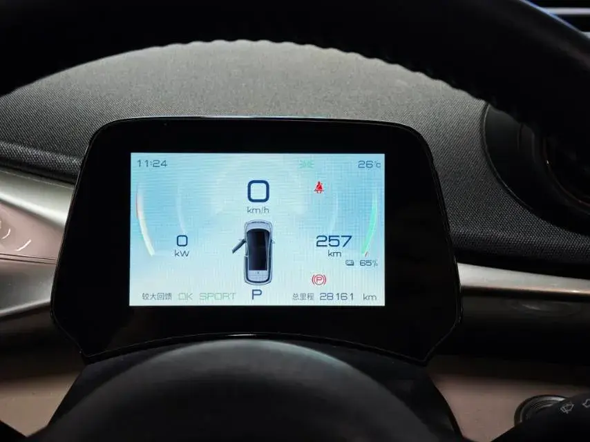 2023 BYD DOLPHIN thumbnail 3