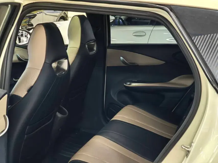 2023 BYD DOLPHIN thumbnail 4