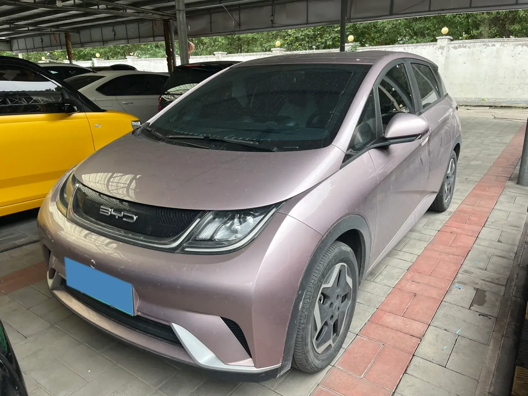 2021 BYD DOLPHIN view 1