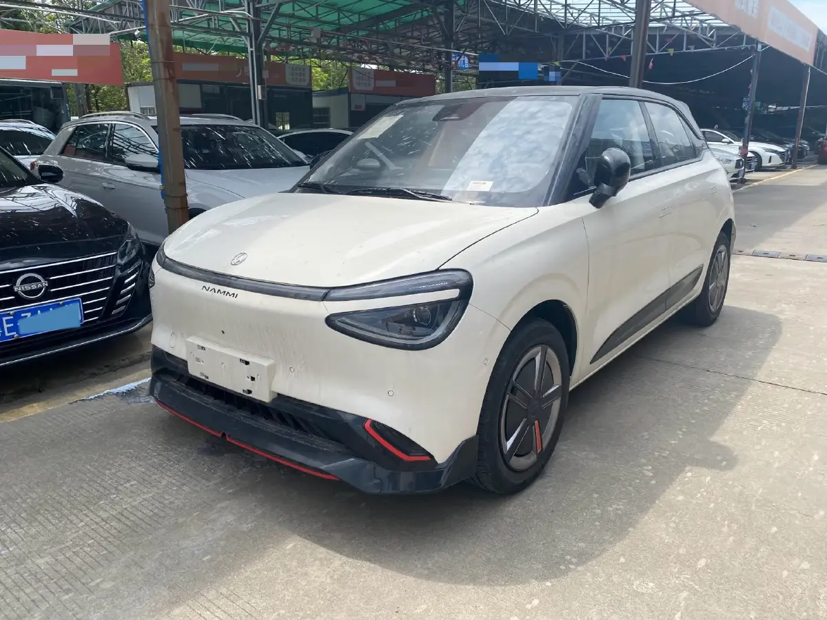 2024 DongFeng Nammi 01 BEV 42.3KWH