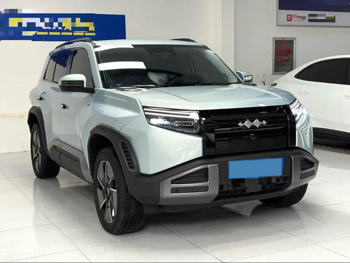 2025 FANGCHENGBAO TAI thumbnail 3