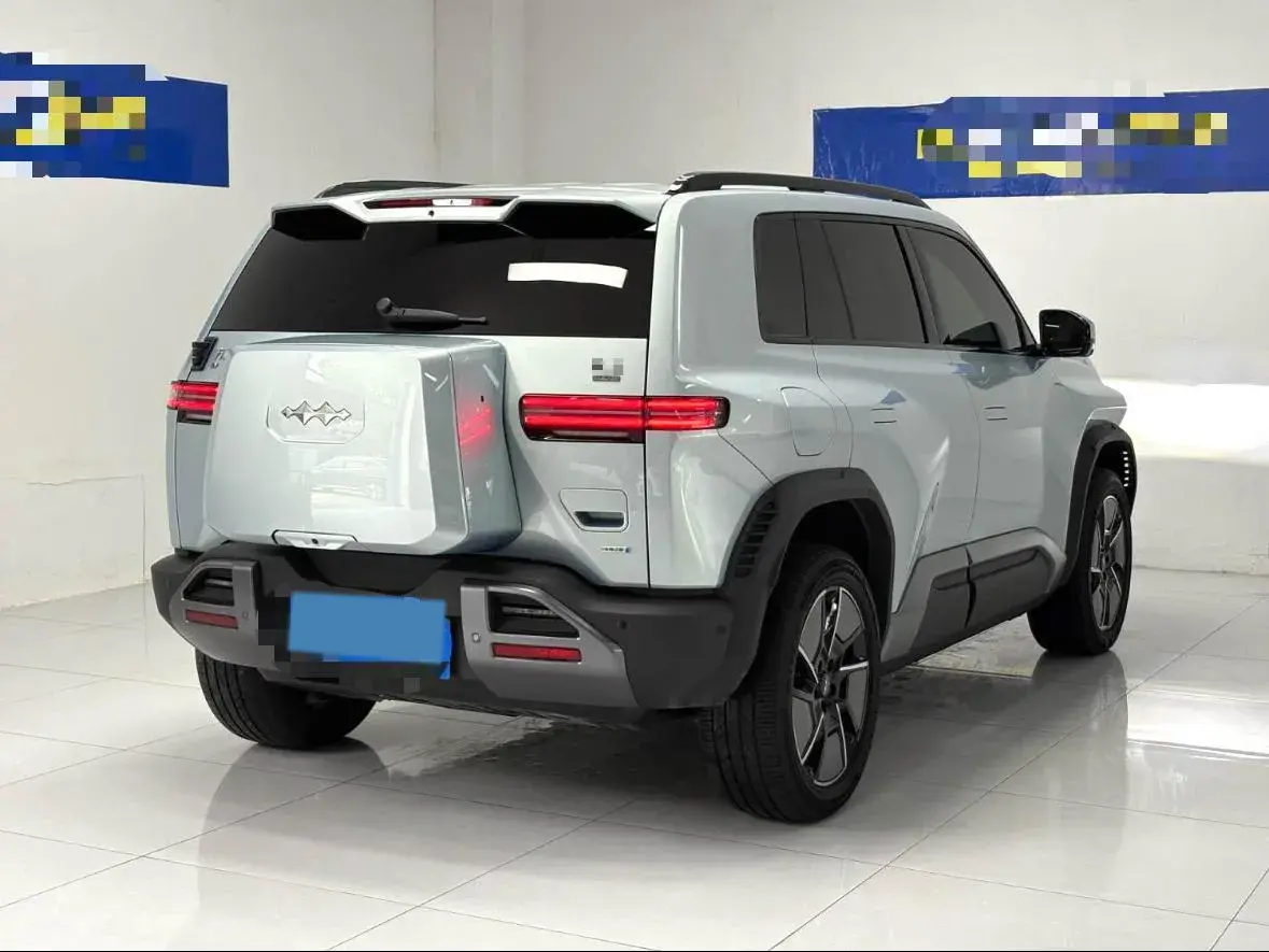 2025 FANGCHENGBAO TAI thumbnail 4