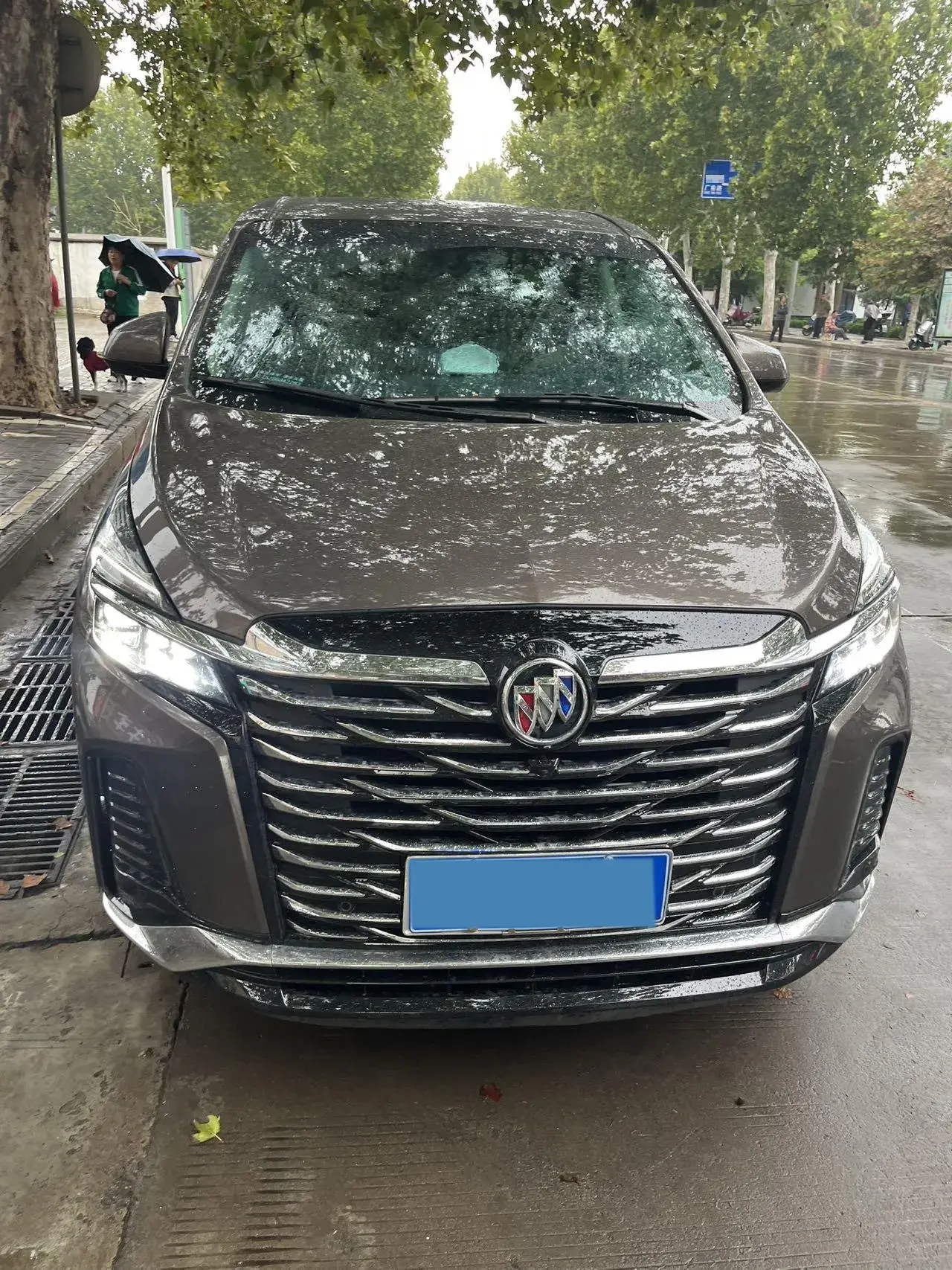 2023 BUICK GL8 thumbnail 2