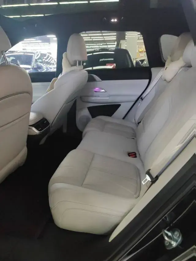 2022 XPENG G9 thumbnail 4