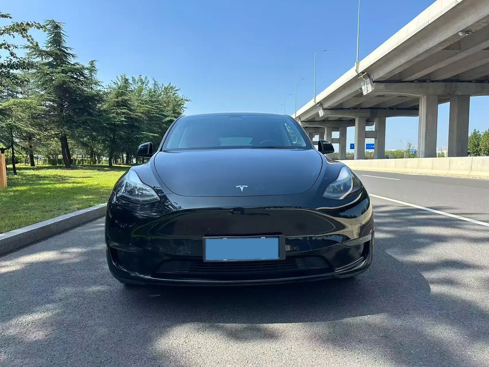 2021 TESLA MODEL thumbnail 2