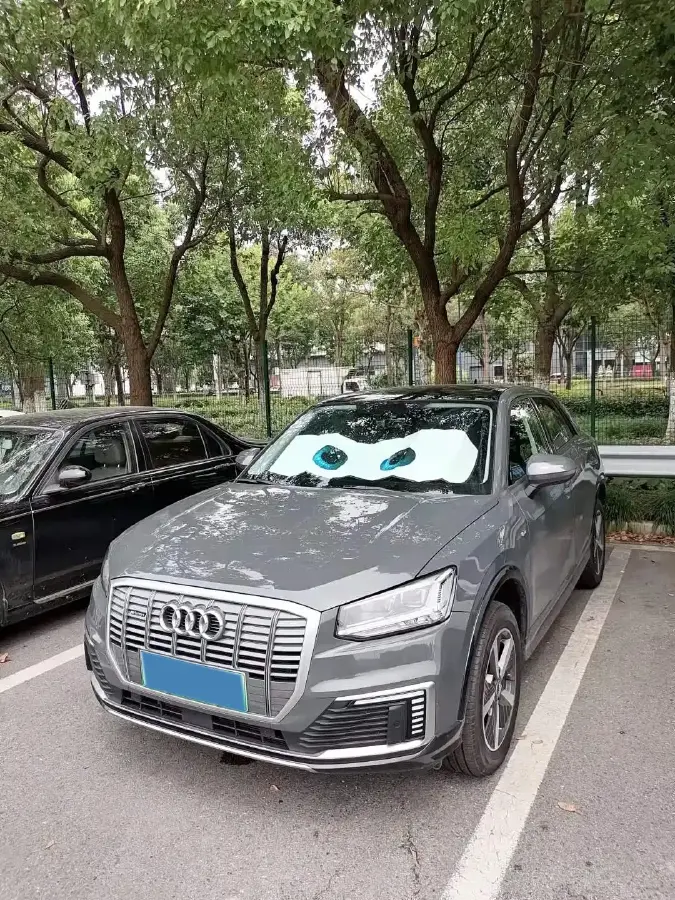 2022 Audi Q2L e-tron BEV 44.1KWH