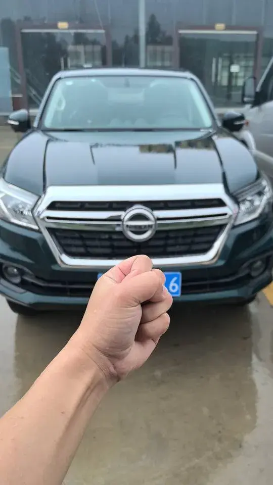 2020 DONGFENG RUIQI thumbnail 3