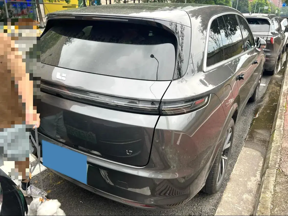 2023 LI L7 thumbnail 2