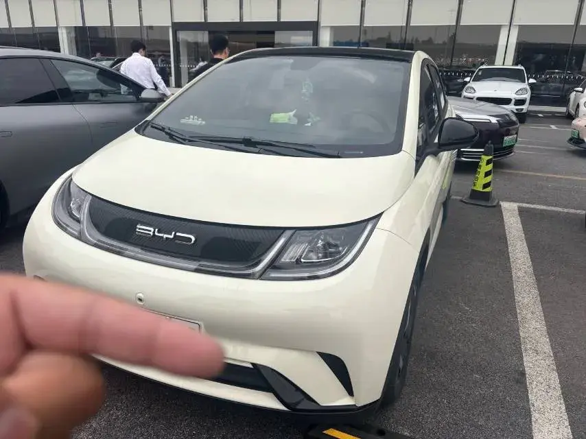 2021 BYD DOLPHIN view 1