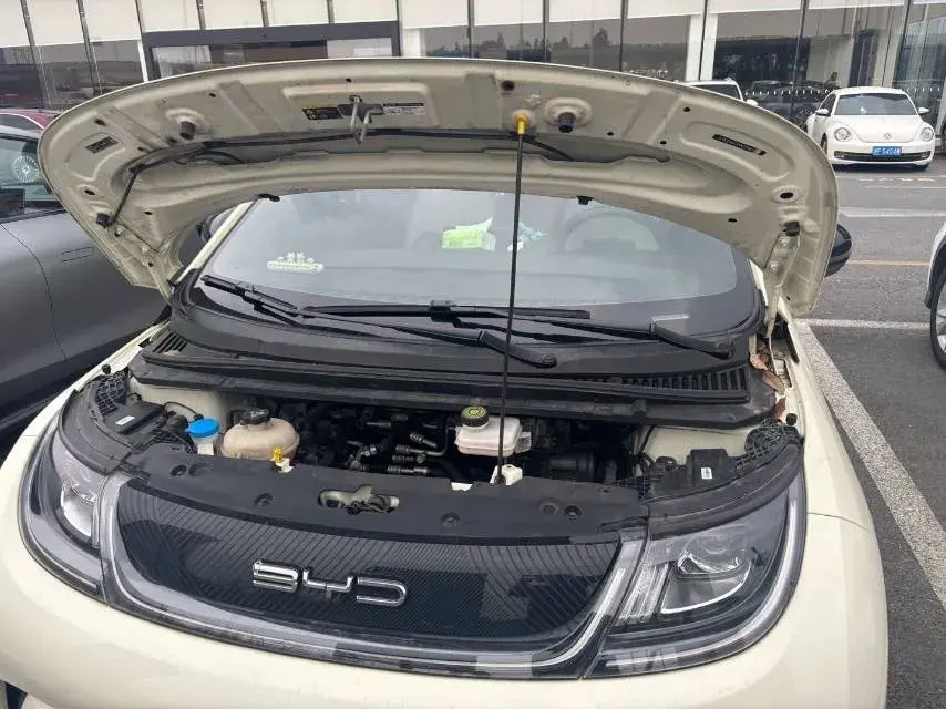 2021 BYD DOLPHIN thumbnail 2