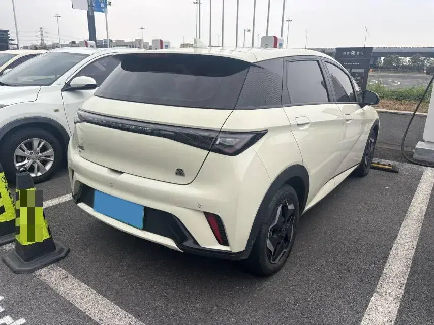 2021 BYD DOLPHIN thumbnail 3