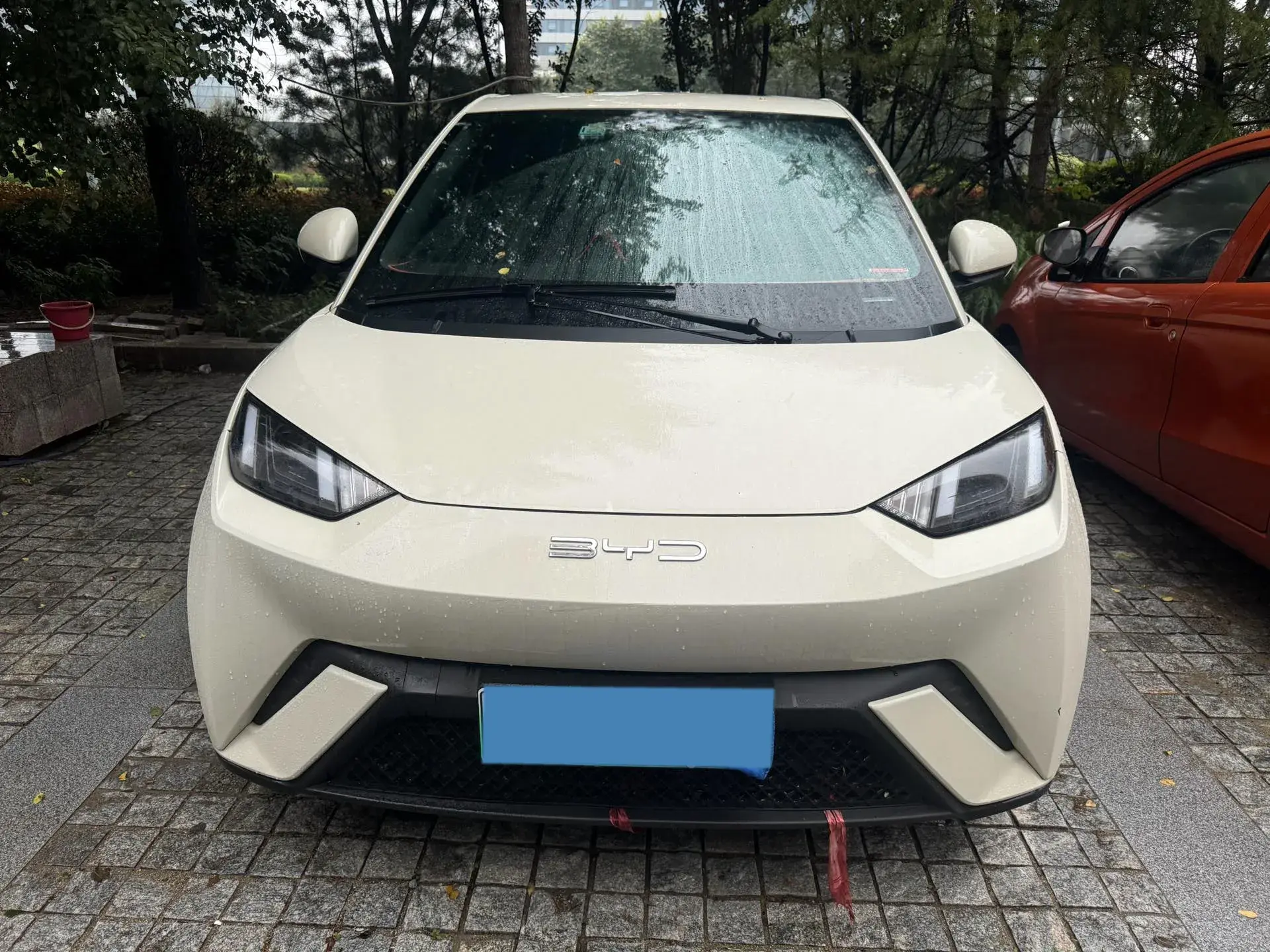 2023 BYD SEAGULL thumbnail 2