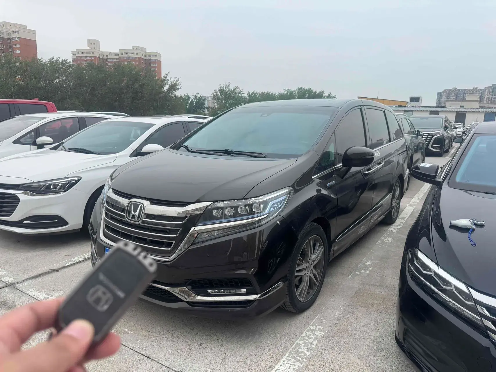 2019 HONDA ELYSIOIN view 1