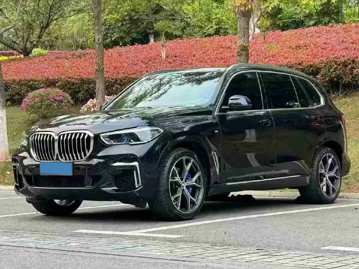 2022 BMW X5 3.0T 333HP L6 8AT
